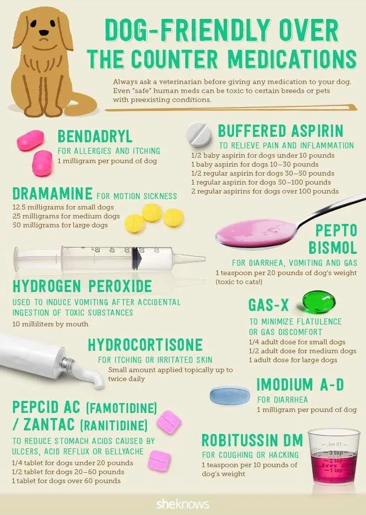 Human Medications That Are Safe For Dogs
