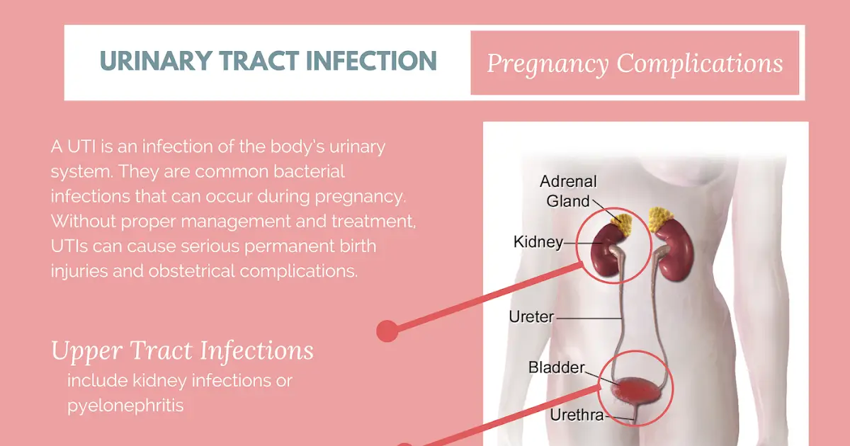 Kidney Infection In Pregnancy Treatment