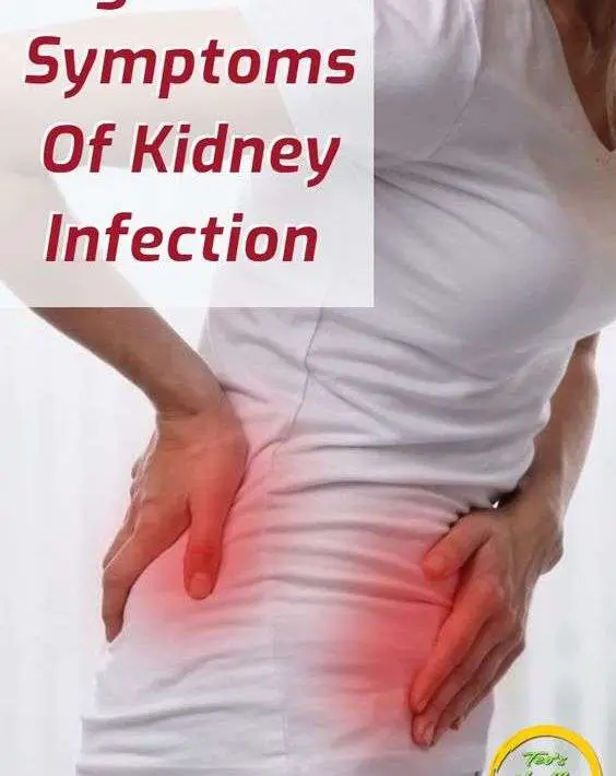 Kidney Infection Symptoms Not Going Away