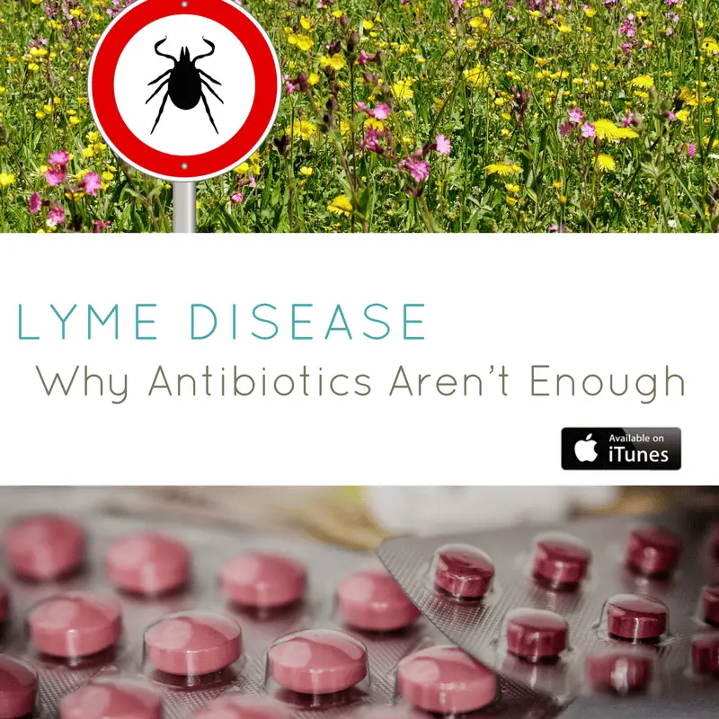 Lyme Disease: Why Antibiotics Arent Enough