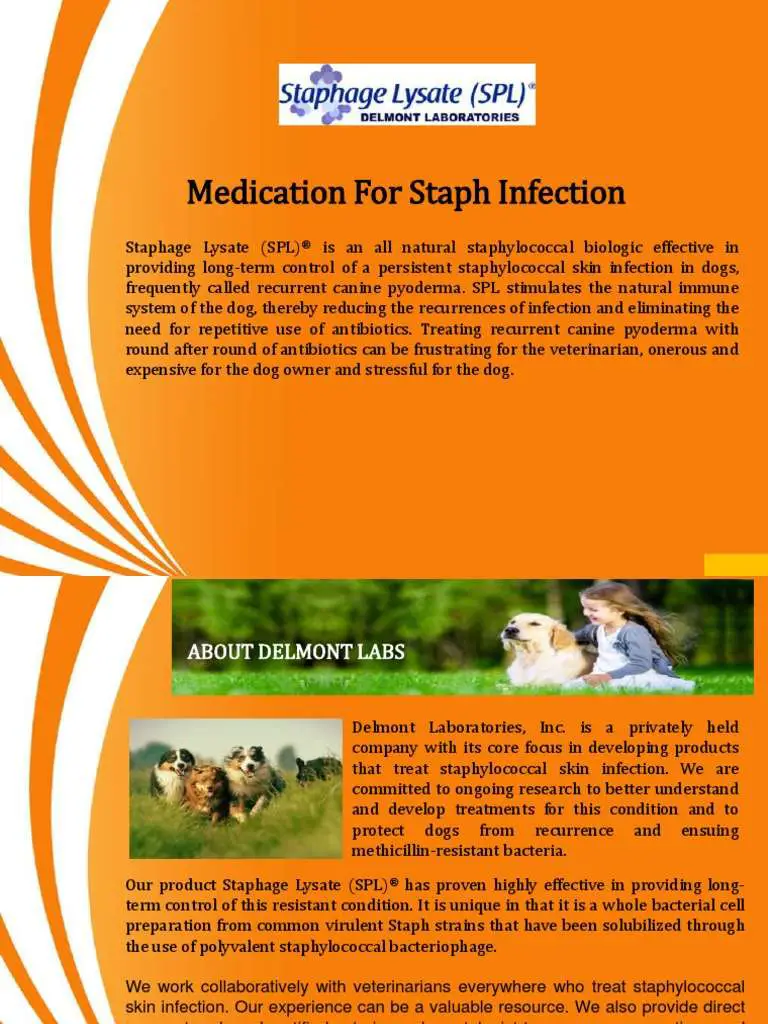 Medication for Staph Infection