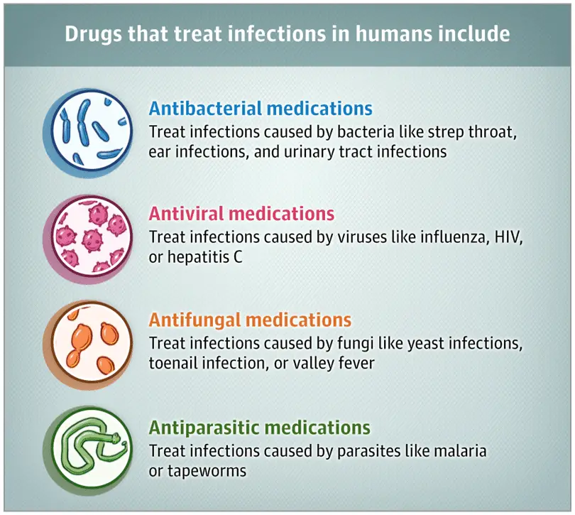 Medications for Treating Infection