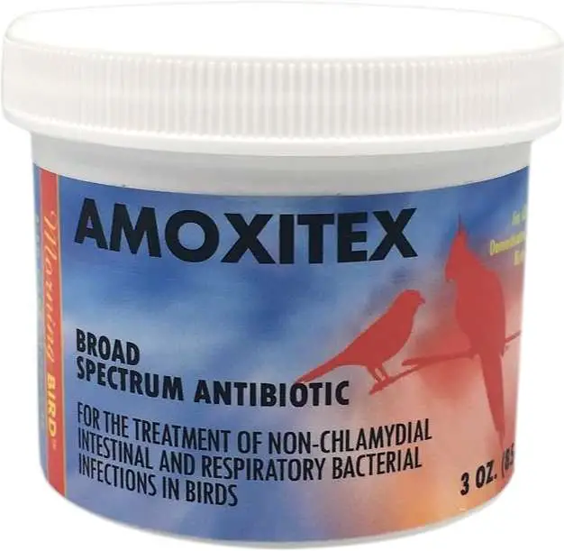 MORNING BIRD Amoxitex Broad Spectrum Antibiotic Bird Supplement, 3