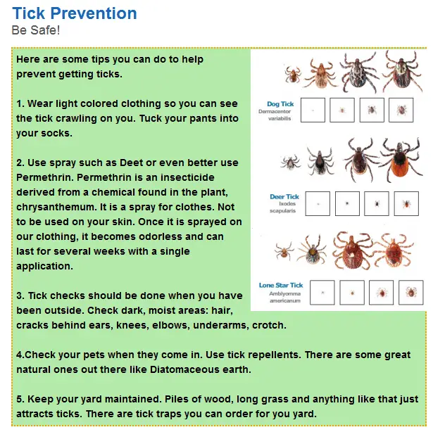 #National Prevent Lyme disease in Dogs Month  Animal Welfare Issues