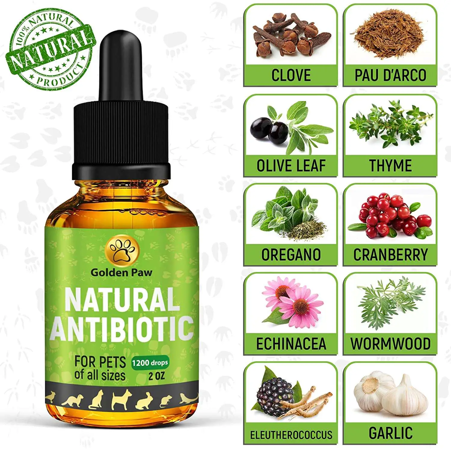 Natural Antibiotic for Dogs