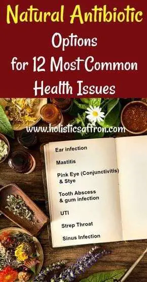 Natural Antibiotic Options for 12 Most Common Health Issues. Holistic ...