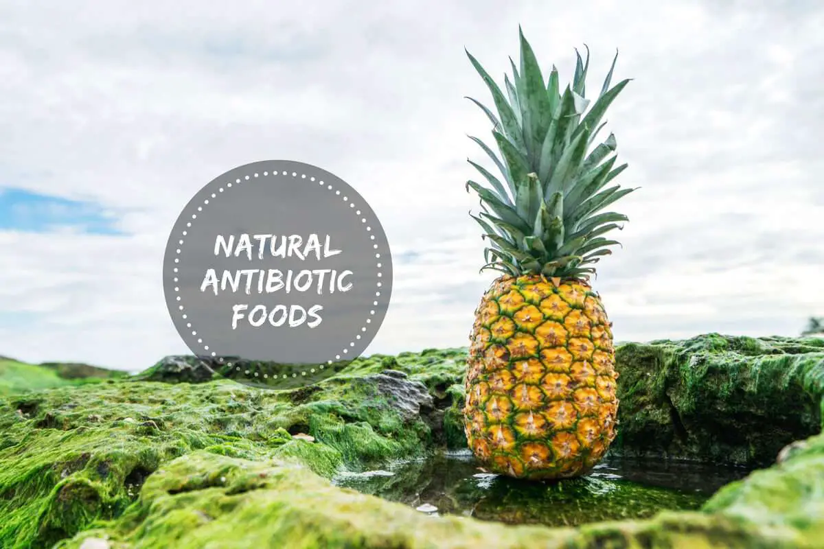 Natural Antibiotics: Foods That Actively Fight Off Bacteria