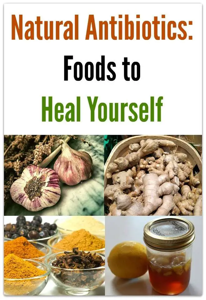 Natural Antibiotics: Foods to Heal Yourself