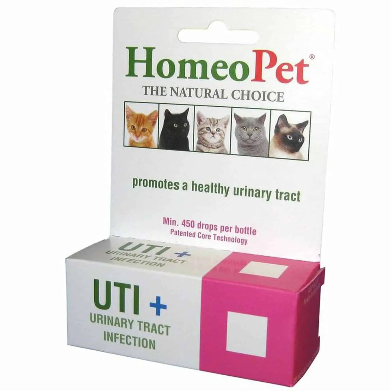 Natural Antibiotics For Cats Urinary Tract Infection