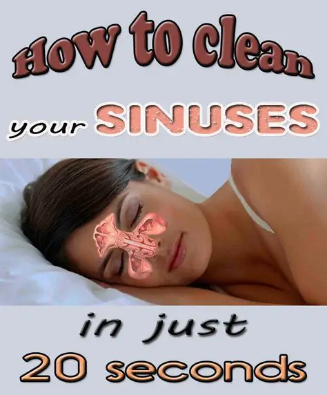 Natural remedies to clean your sinuses and to prevent sinusitis ...