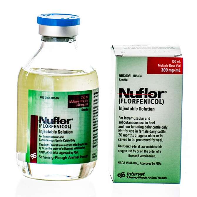 NuflorÂ® Antibiotic Injectable for Cattle