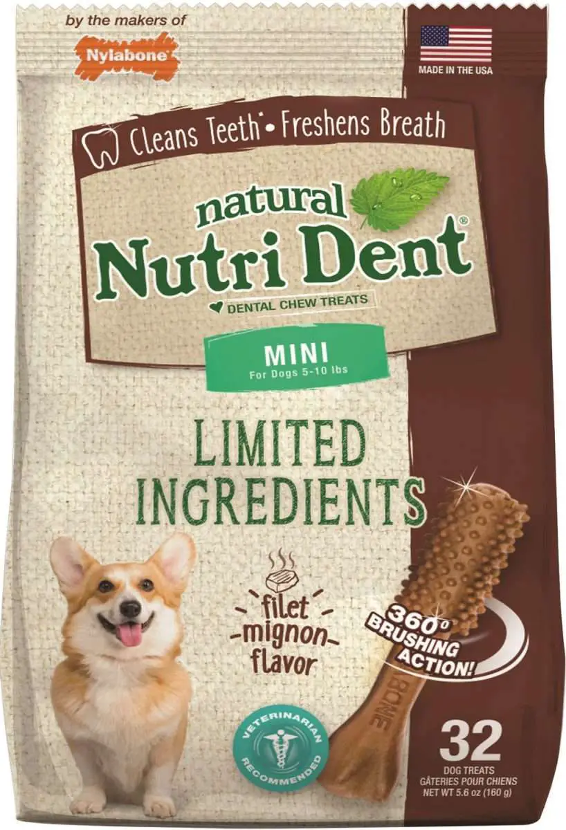 NYLABONE Nutri Dent Limited Ingredients Filet Mignon Natural Mini ...
