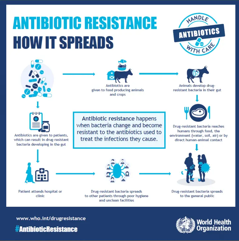 Perspectives in Antibiotic Resistance