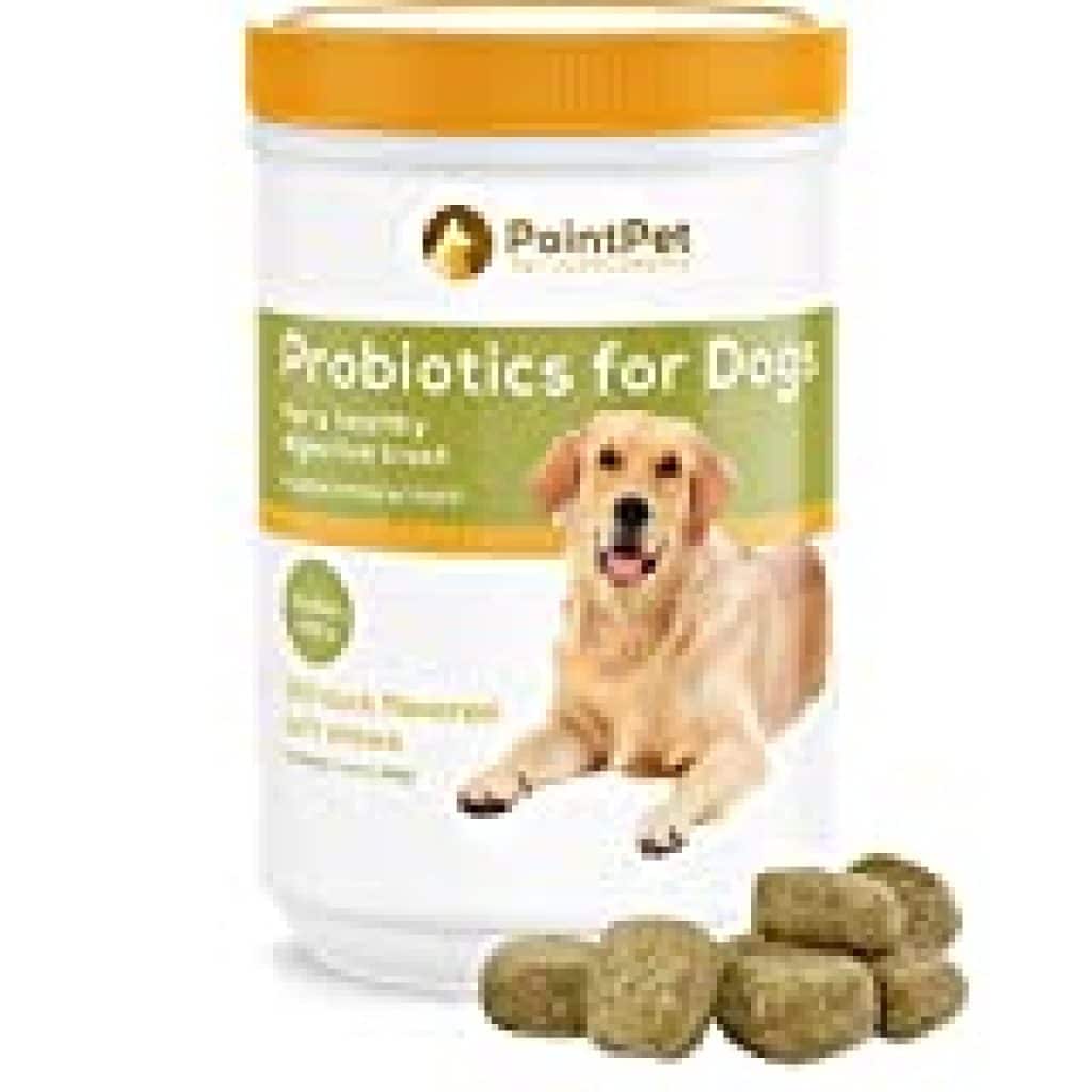 POINTPET Probiotics for Dogs