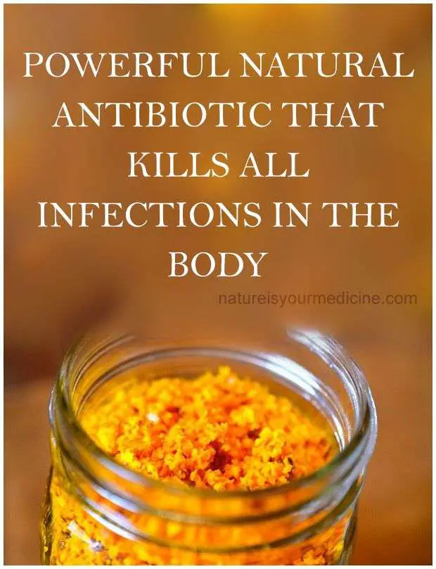 POWERFUL NATURAL ANTIBIOTIC THAT KILLS ALL INFECTIONS IN THE BODY ...