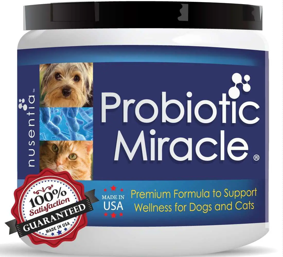 Probiotic Miracle Dog