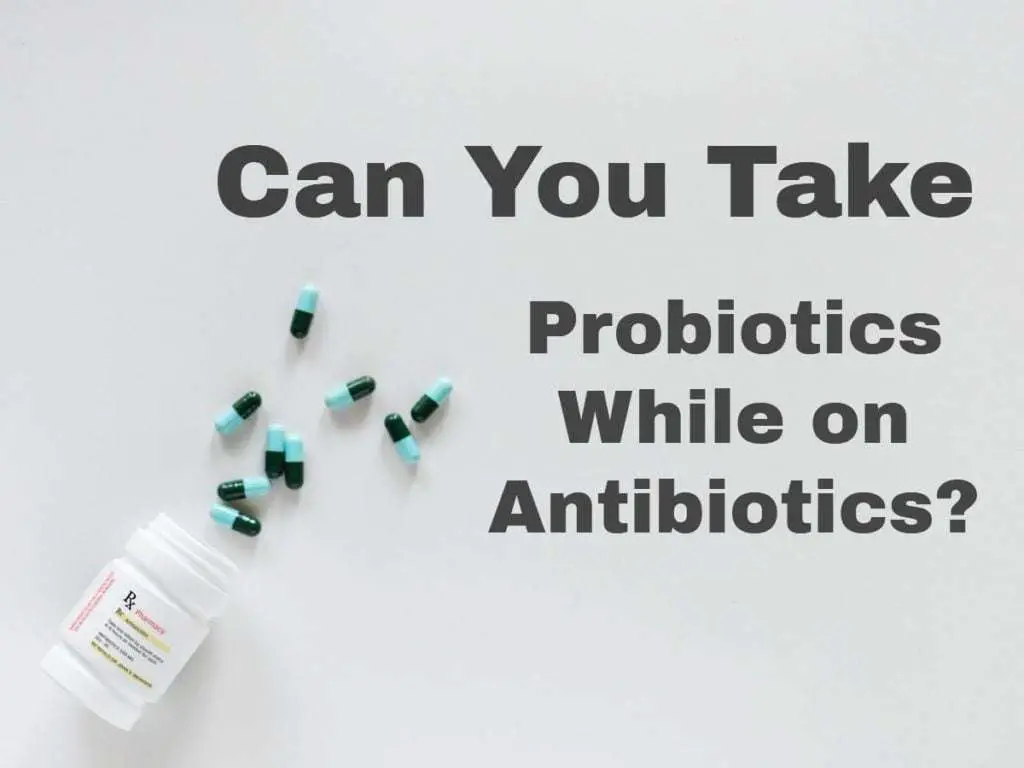 Probiotics and Antibiotics  Consumer
