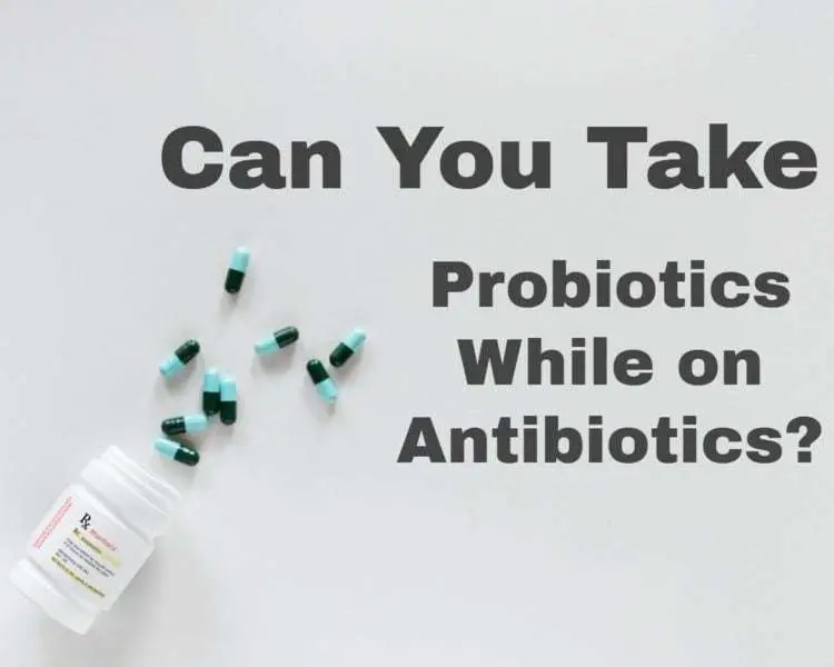 Probiotics and Antibiotics