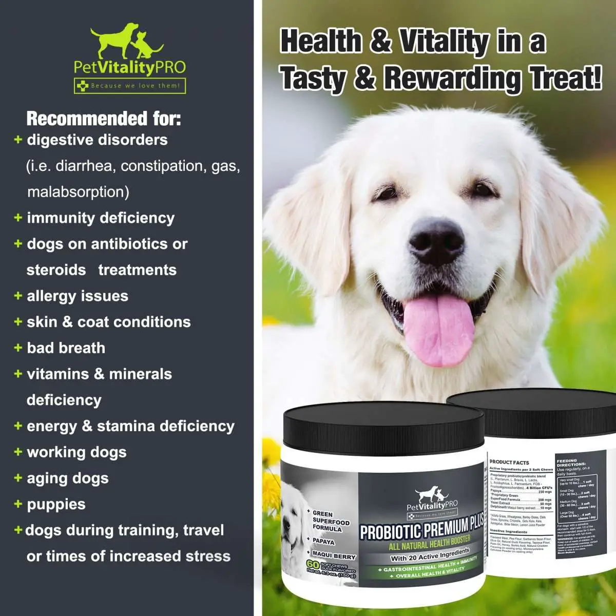 Probiotics for Dogs with Natural Digestive Enzymes Dog Probiotics ...