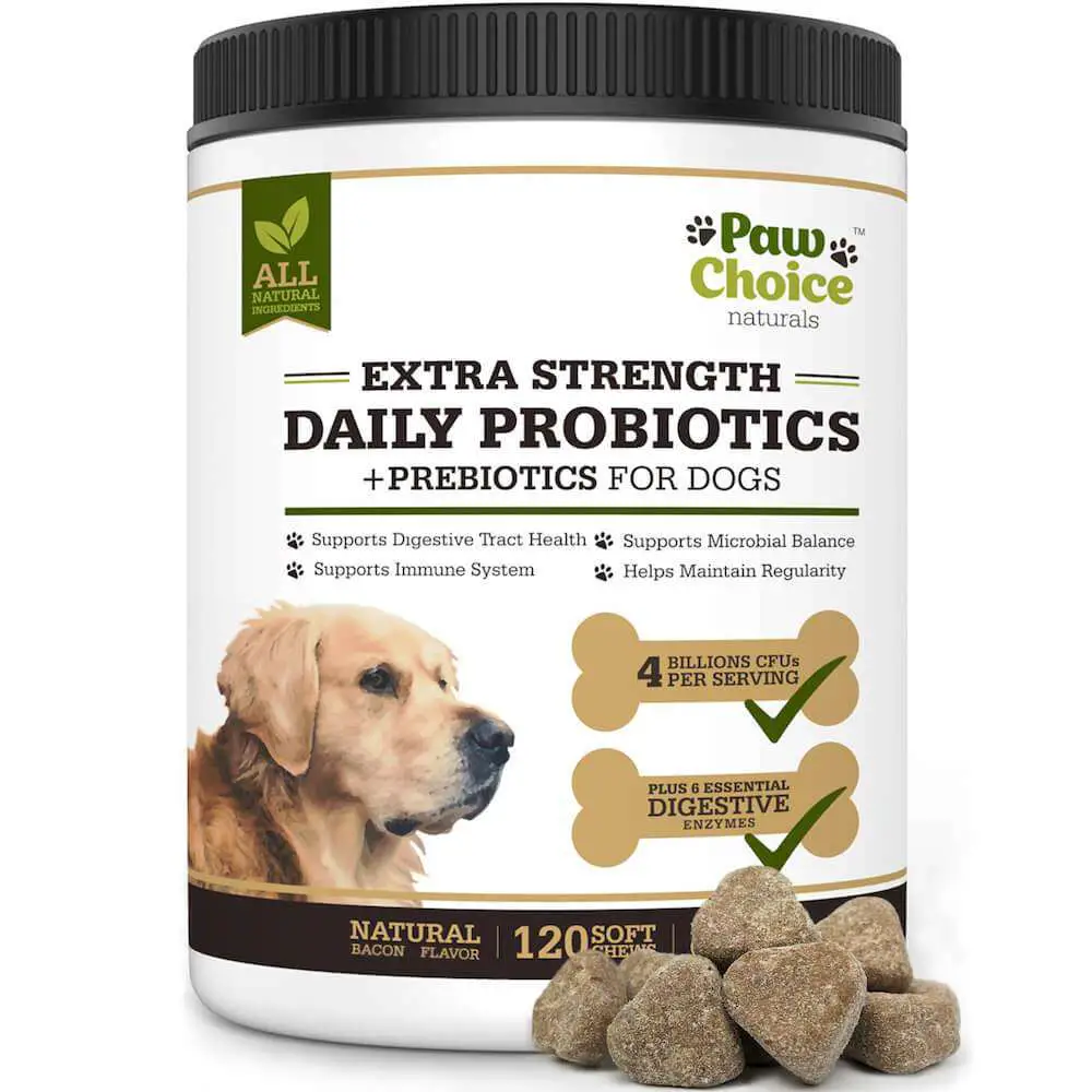 Probiotics for Dogs with Prebiotics, Digestive Enzymes