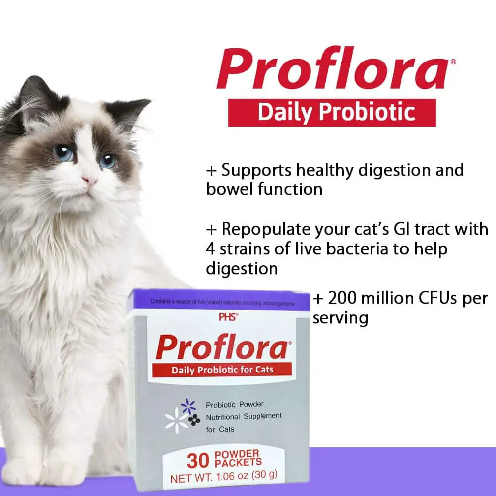 Proflora Probiotic for Cats (30 Servings)