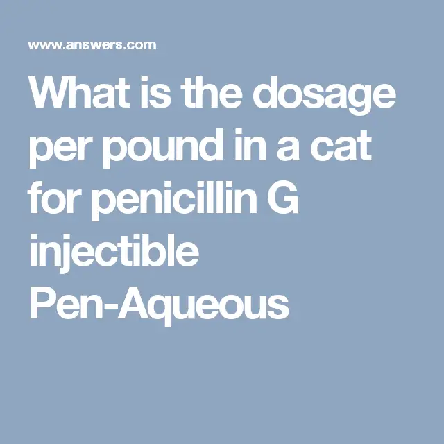Proper Dosage Of Penicillin For Cats