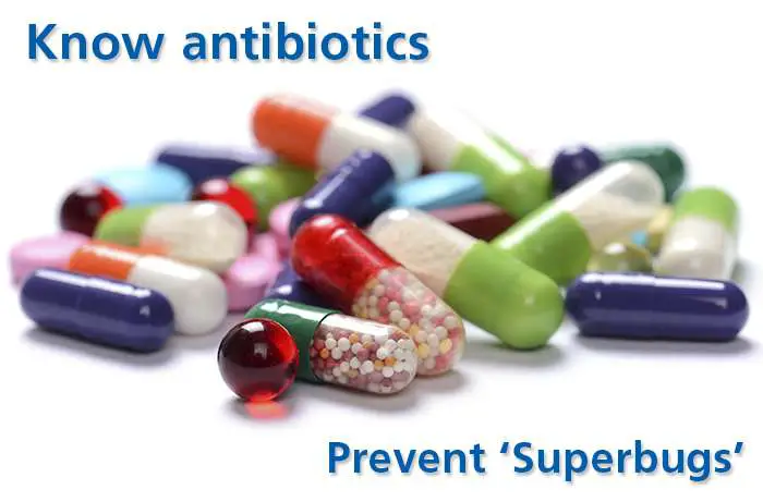 Proper Use of Antibiotics can Keep Your Family Safe from " SuperBugs"