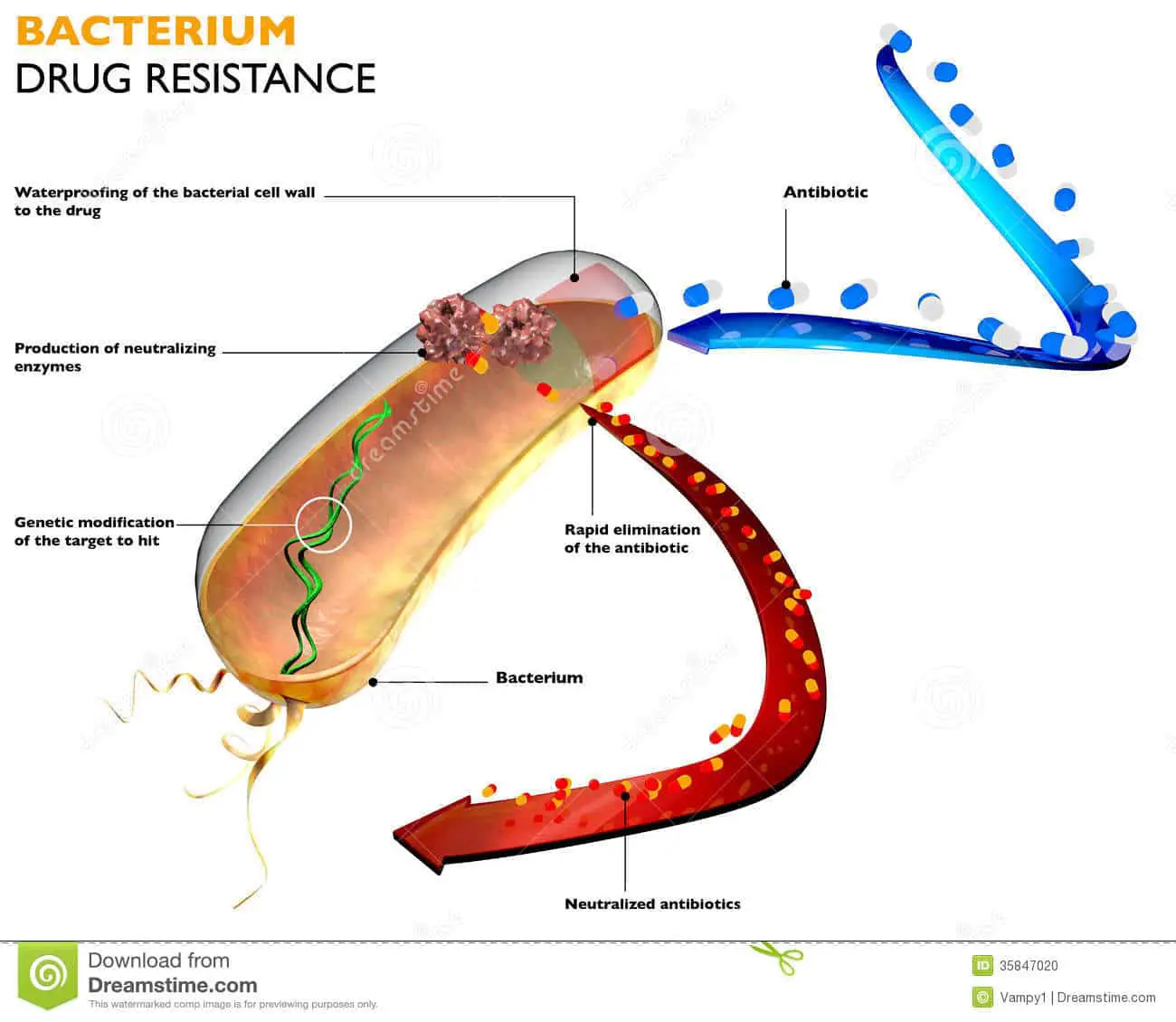 Resistance of Bacteria To Antibiotics Stock Illustration