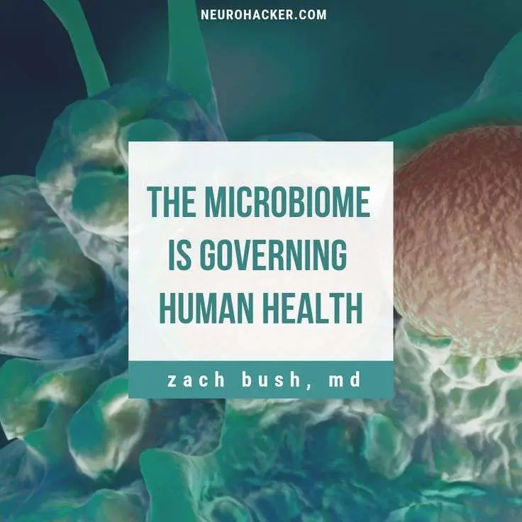 Restore Gut Health: The Science Behind a Healthy Gut Microbiome ...