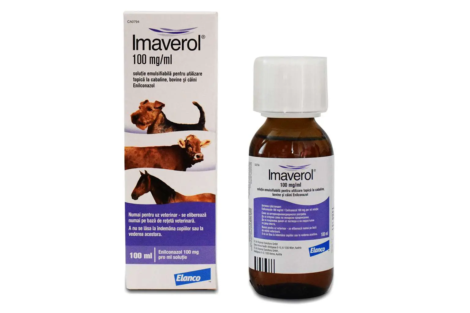 Ringworm treatment in dogs