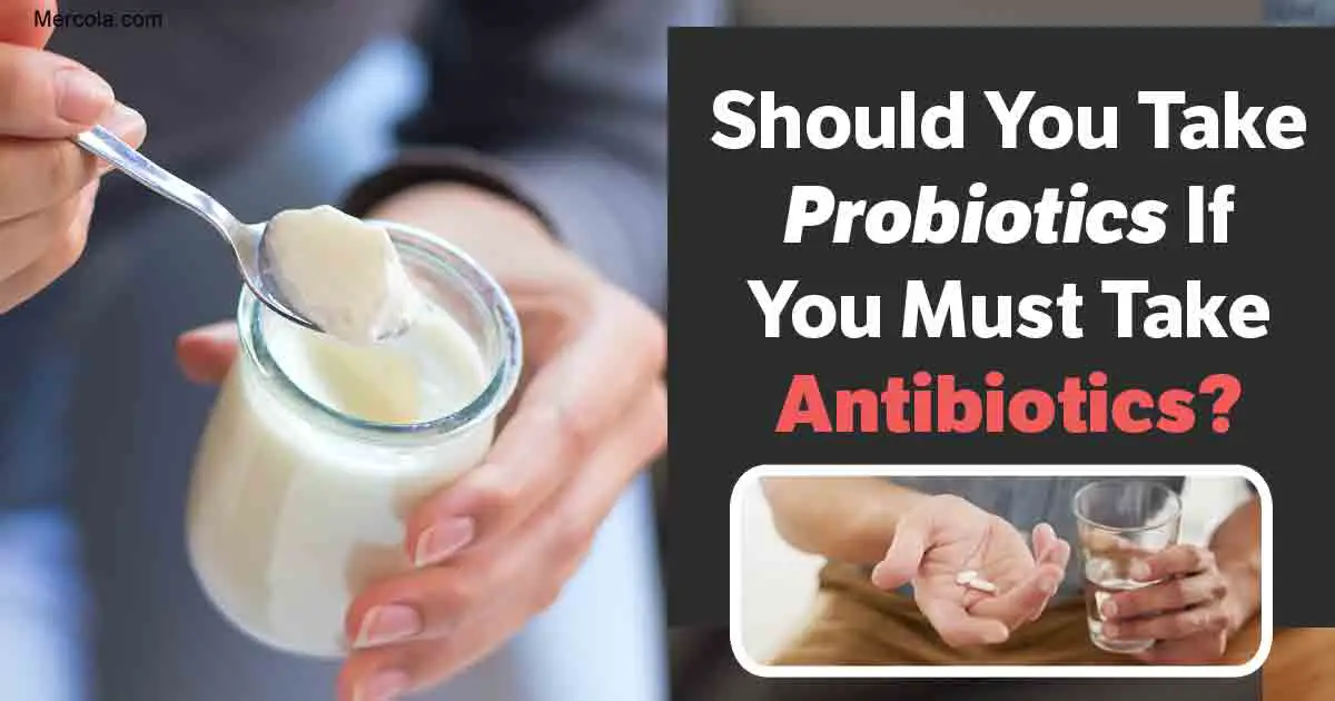 Should You Take Probiotics if You Must Take Antibiotics?  SAM