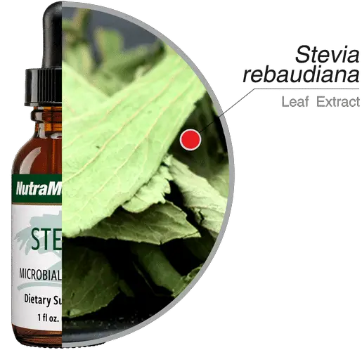 Stevia Whole Leaf Extract And Lyme Disease