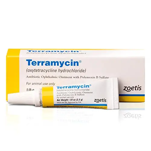 Terramycin Antibiotic Ophthalmic Ointment for Dogs Cats by Pfizer for ...