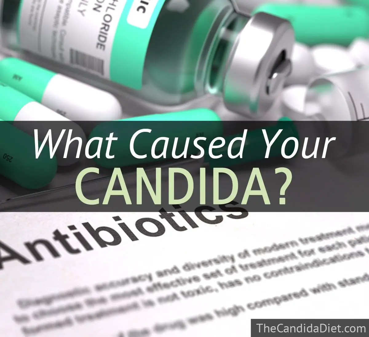 The 7 Most Common Causes Of Candida » The Candida Diet