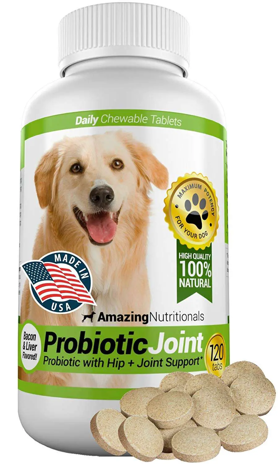 The Best 6 Probiotics for Your Dogs: How They Improve Your ...