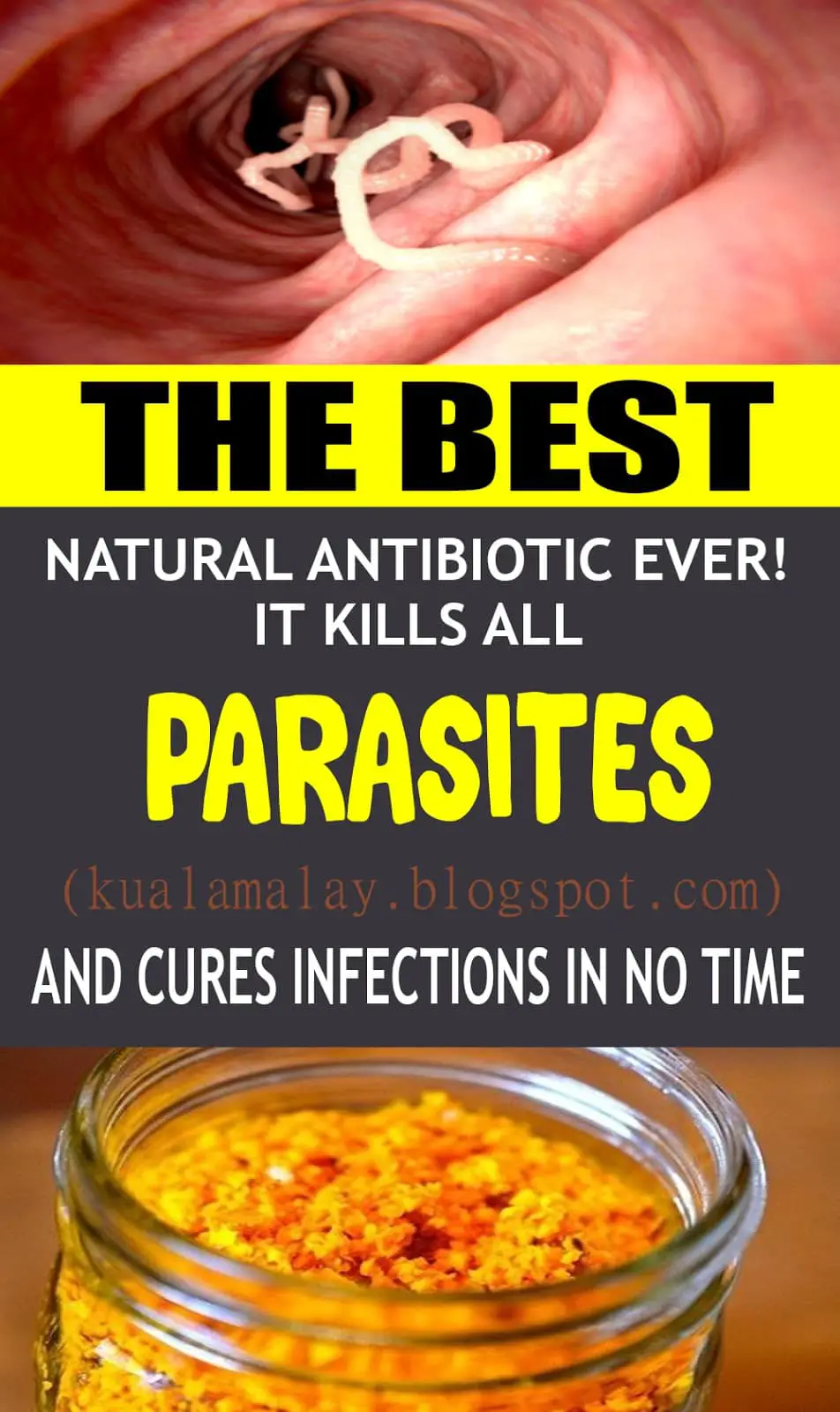 The Best Natural Antibiotic Ever! It Kills All Parasites and Cures ...