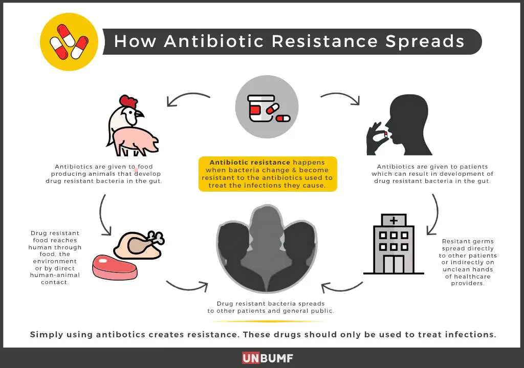 There Is A New Antibiotic In Town And Here Is Why You ...