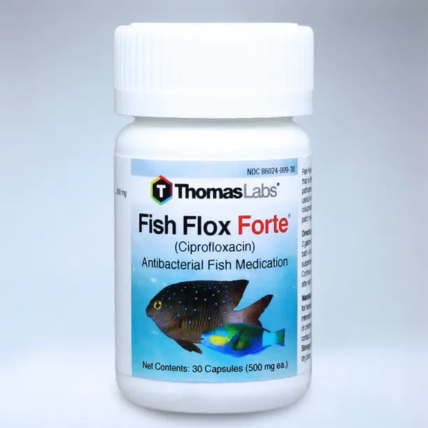 Thomas Labs Fish Flox Forte (Ciprofloxacin) Antibacterial ...