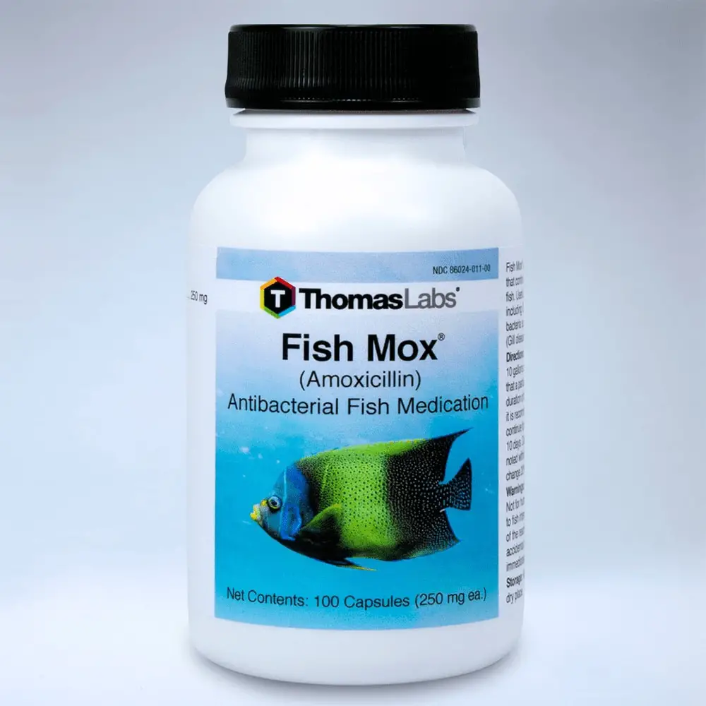 Thomas Labs Fish Mox (Amoxicillin) Antibacterial Fish Antibiotic ...