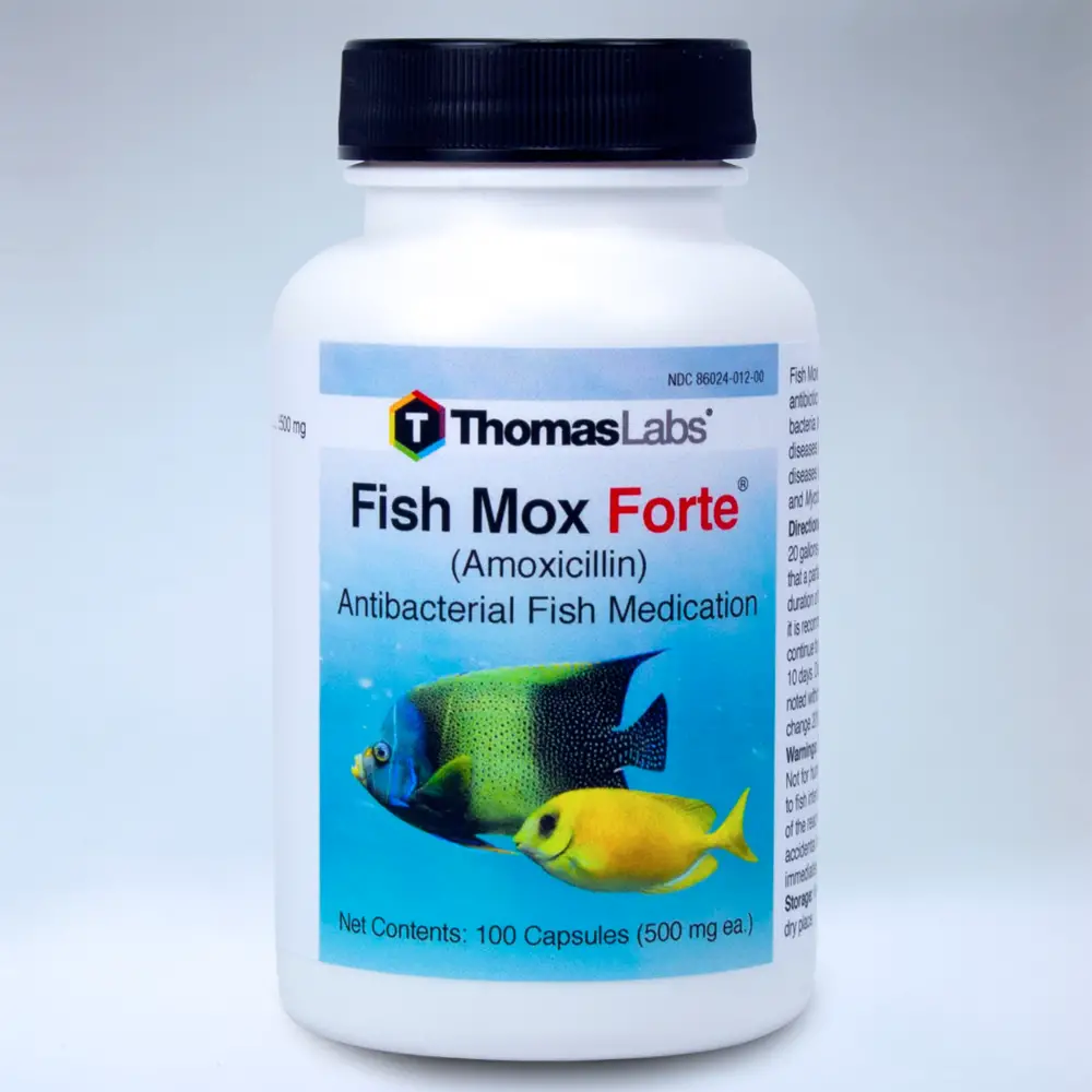 Thomas Labs Fish Mox Forte (Amoxicillin) Antibacterial ...