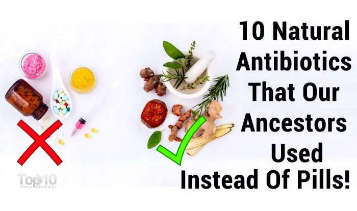 Top 10 Natural Antibiotics