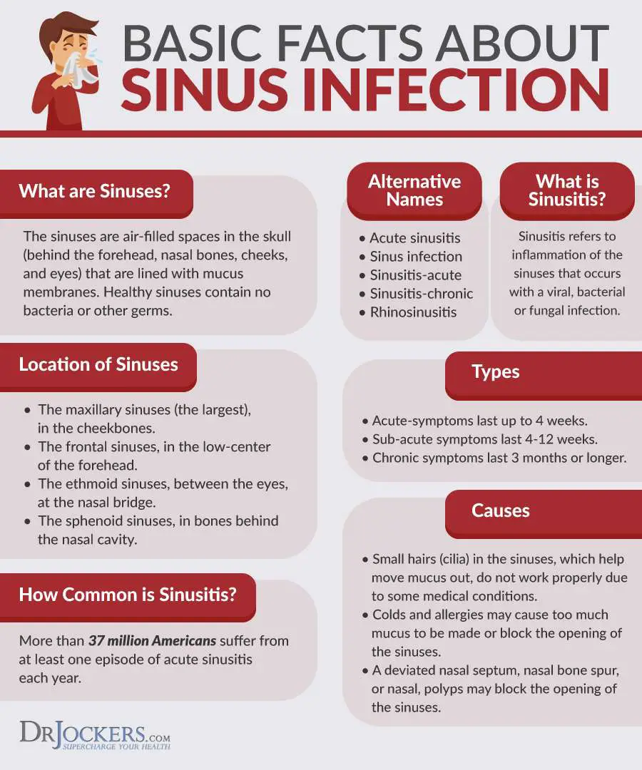 Top 8 Sinus Infection Natural Remedies