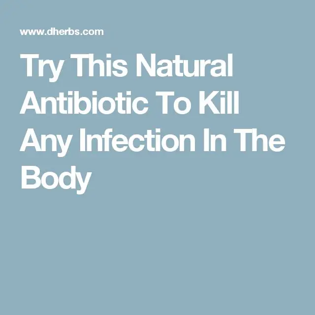 Try This Natural Antibiotic To Kill Any Infection In The Body