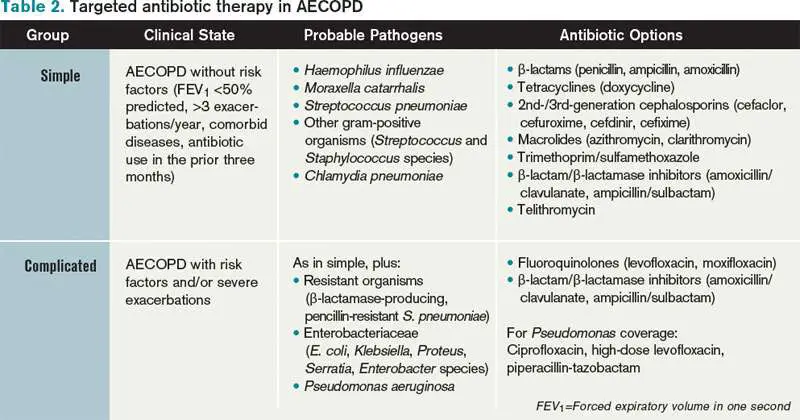 What Is the Appropriate Use of Antibiotics In Acute Exacerbations of ...
