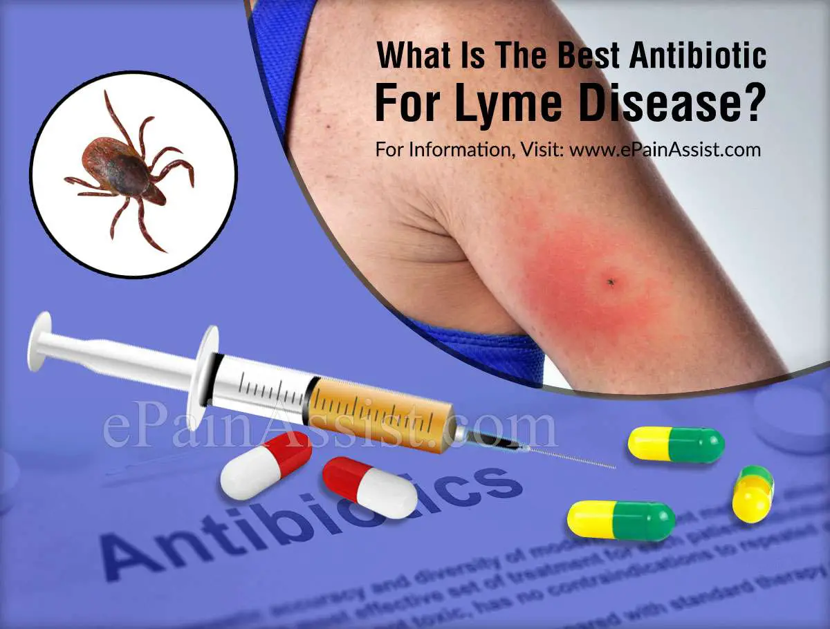 What Is The Best Antibiotic For Lyme Disease?