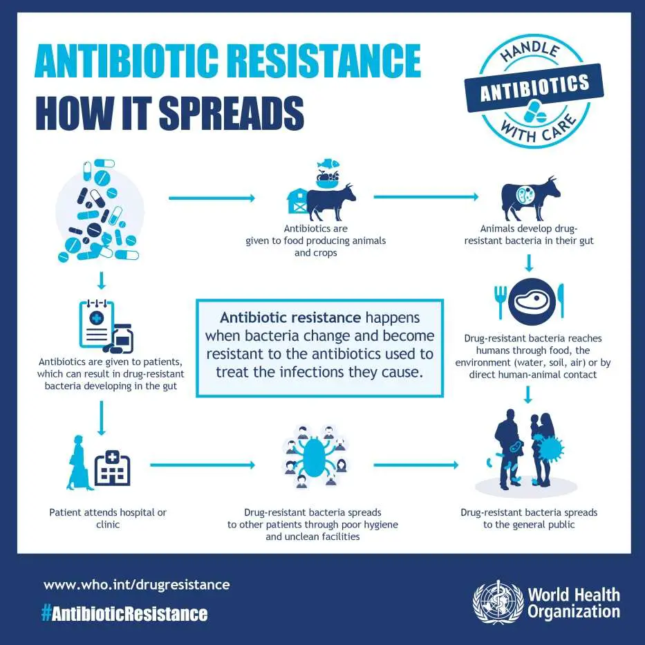 What you need to know about antibiotics