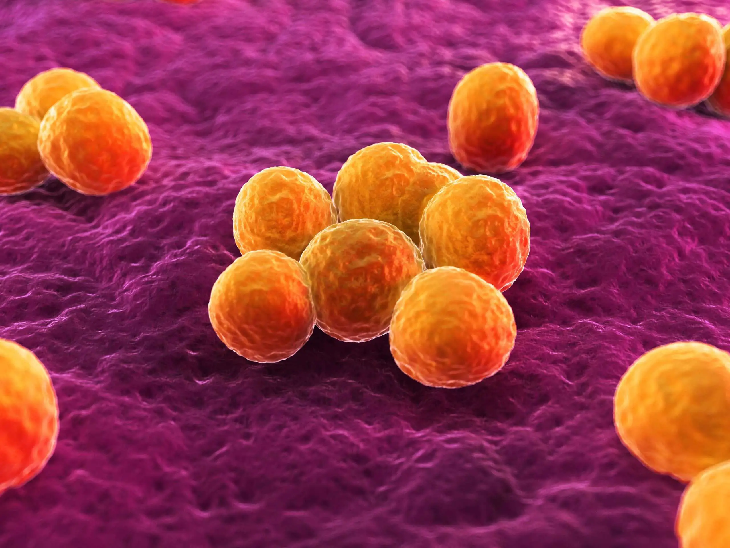 Where Antibiotic Resistance Is Worst Around the World