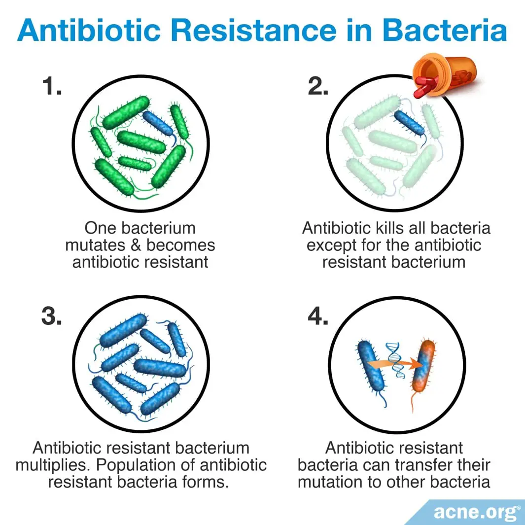 Will Bacteria Become Resistant To Antibiotics