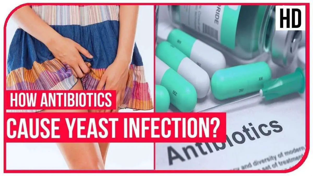 Yeast Infection Antibiotics