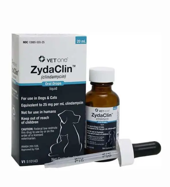 Zydaclin (Clindamycin) Oral Drops for Dogs &  Cats 25 mg/mL 20mL